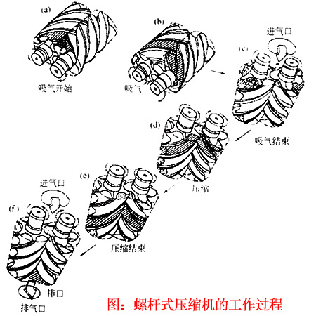 螺杆式压缩机工作过程